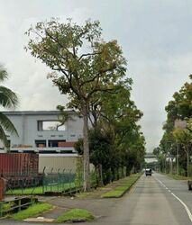Tuas Avenue 3 (D22), Factory #455280481